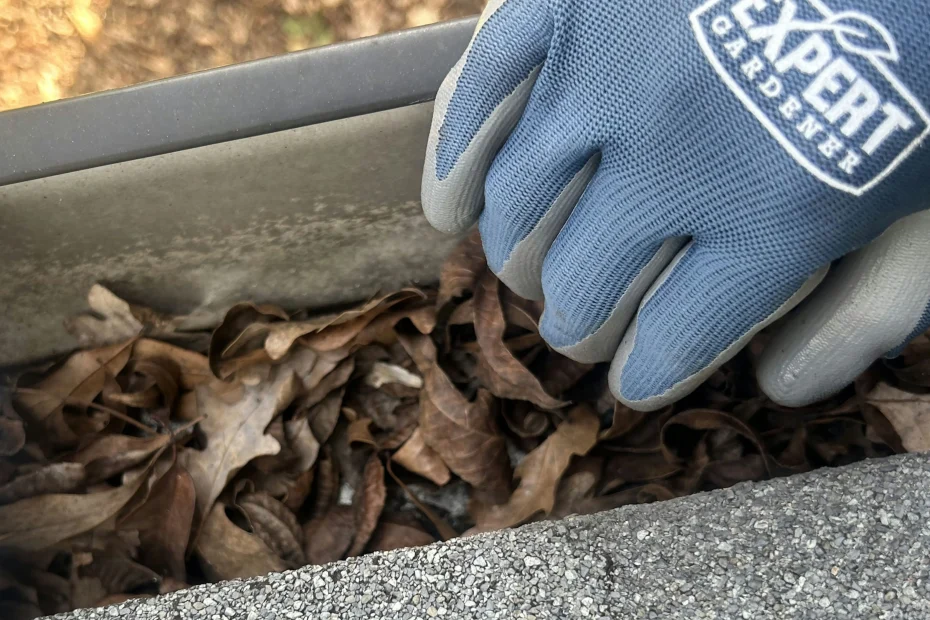 Gutter Cleaning Piedmont SC