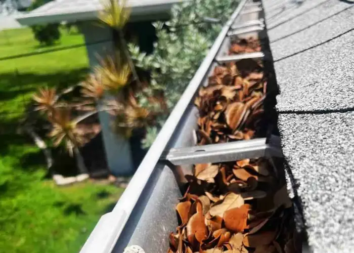 Gutter Cleaning Piedmont SC home page